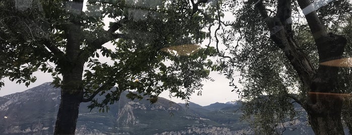 Ristorante Alla Fassa is one of Ristoranti sul lago di Garda.