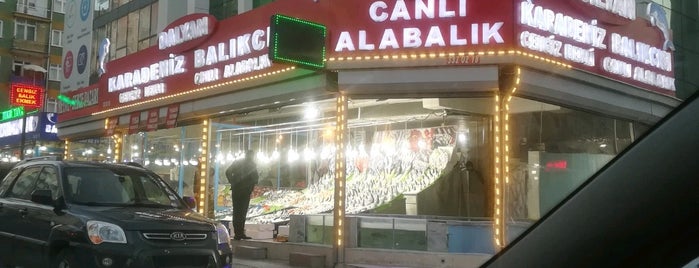 Cengiz Balik&Ekmek is one of Ankara.
