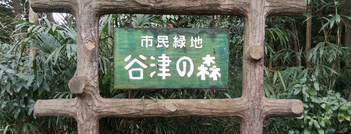 谷津の森公園 is one of 木・緑地.