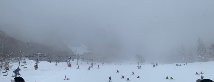 北志賀小丸山スキー場 is one of 長野県内のスキー場.