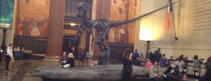 American Museum of Natural History is one of New York.