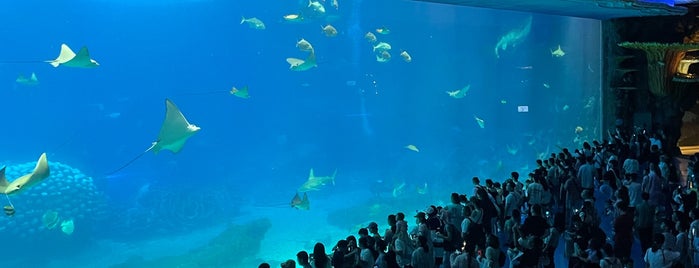 Chimelong Ocean Kingdom is one of Keith'in Beğendiği Mekanlar.