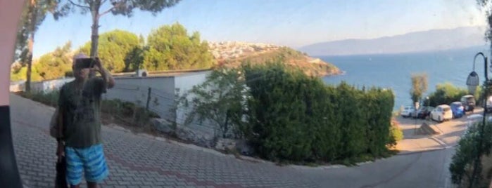 Feza Kuzey Beach is one of Bodrum-Güvercinlik.