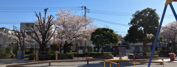 Public Parks with Basketball Court