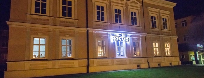 Kocúr is one of Lieux qui ont plu à Radoslav.