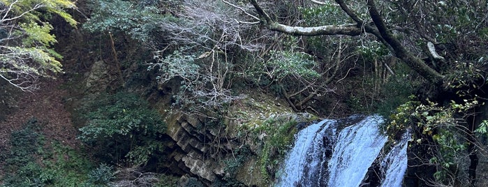 Shokei-daru Falls is one of 伊豆.