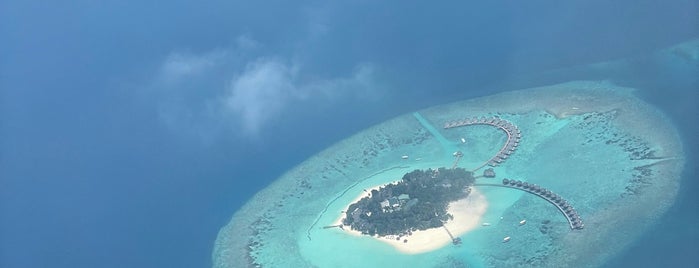 Trans Maldivian Airways - Terminal C is one of Tempat yang Disukai Abdulaziz.