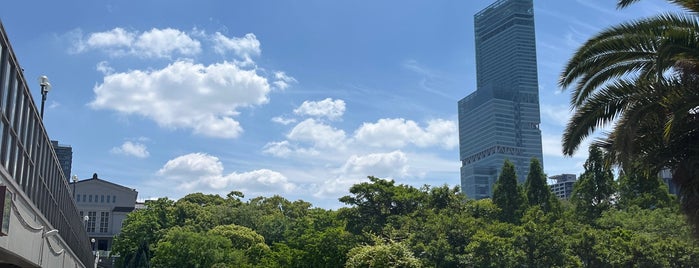 天王寺動物園 is one of Osaka.