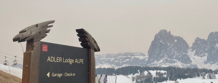 Adler Mountain Lodge is one of The Alps.