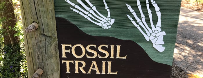 Fossil Trail is one of Landmarks.