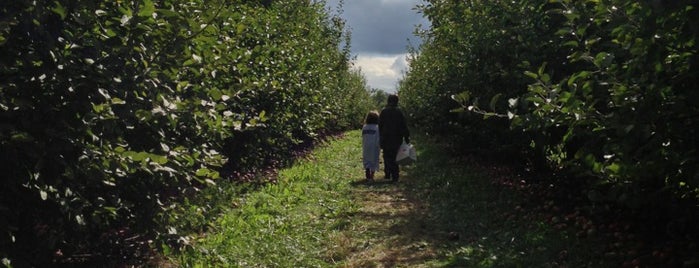 Indian Ladder Farms Apple Orchard is one of Posti che sono piaciuti a Chris.