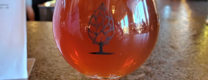 Beer Tree Brew Co. is one of Syracuse Date Night.