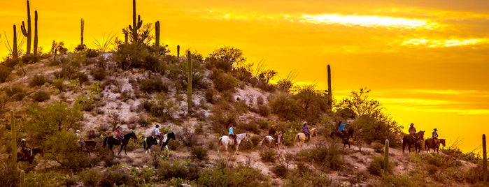 Tanque Verde Ranch is one of Others.