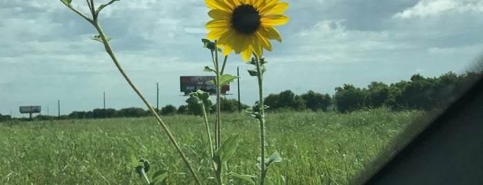 Bruceville-Eddy, TX is one of US-TX-City-2.