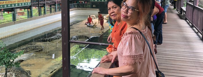 Sampran crocodile and elephant farm - elephant ride - Bangkok is one of Thailand.