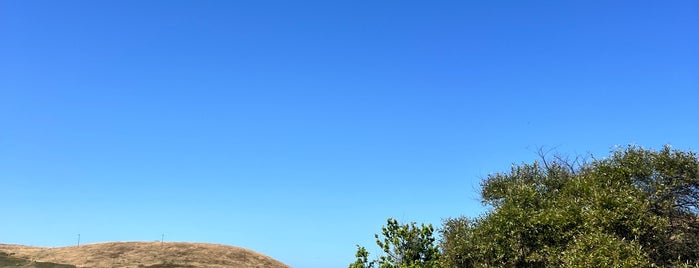 Coyote Hills Regional Park is one of California Leisure.