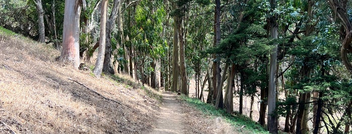 Philosopher's Way is one of Hiking trails in and around San Francisco.
