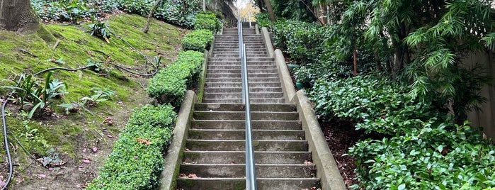 Green Street Steps is one of Stairs of San Francisco.