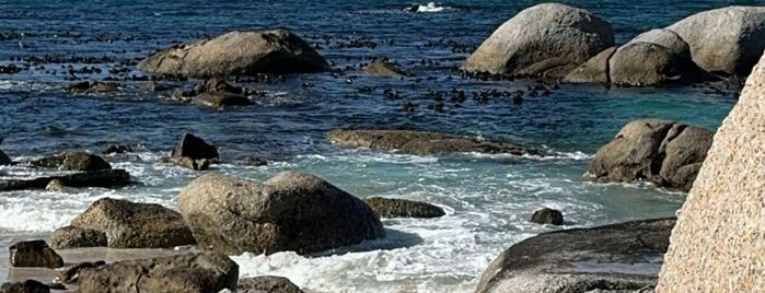 Boulders Beach is one of South Africa (CPT - R62 - Addo - Garden Route).