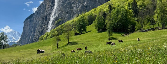 Staubbachfall is one of Schweiz.