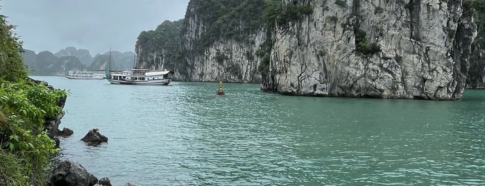 Bai Tu Long Bay is one of Виетнам.