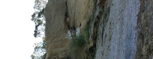 New Brighton Cliffs is one of Lieux qui ont plu à Gilda.