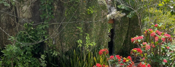 Vườn Quốc Gia Phú Quốc (Phu Quoc National Park) is one of Phu Quoc.