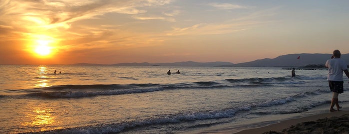 Doğan Beach Resort & SPA Hotel is one of İzmir otel.