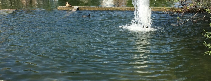 Gemeentelijk Zwembad De Motte is one of Swimming.