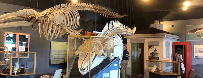 The Whale Museum is one of Locais curtidos por Lori.
