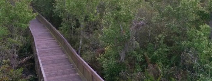 Sawgrass Lake County Park is one of Guide to Saint Petersburg's best spots.