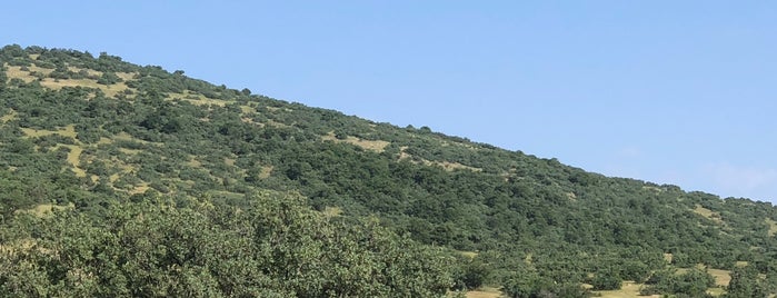 Tepecik Köyü is one of Çiçekdağı Köyleri.