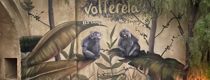 Voltereta Bali is one of Valencia.