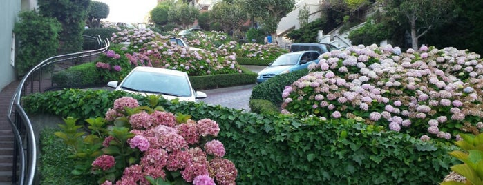 Lombard Street is one of San Francisco's 15 Best Views.