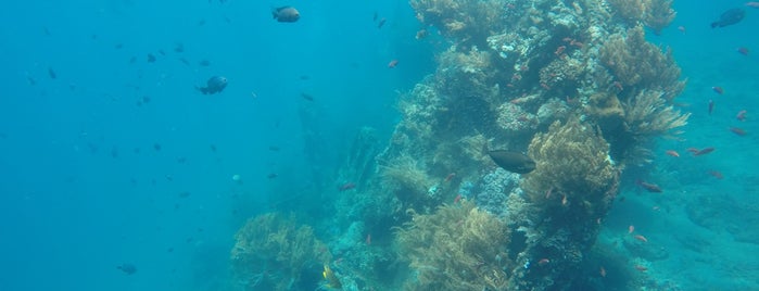 Japanese ship wreck is one of Lovely spots in Amed.