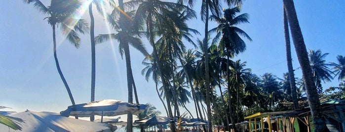 Playa Guayacanes is one of Home.
