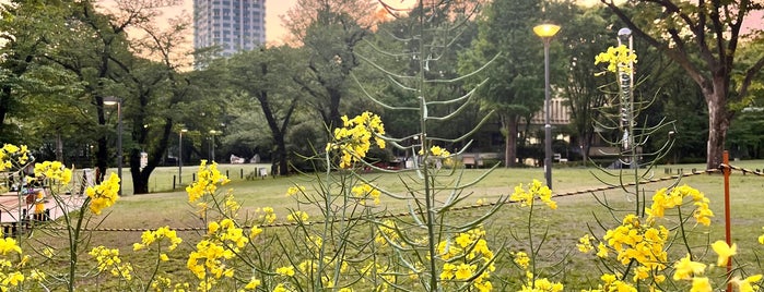 Shinjuku Chuo Park is one of Japan.