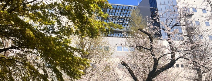 Research Center for Advanced Science and Technology is one of 渋谷区.