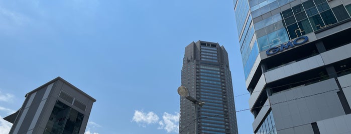 渋谷駅西口優良タクシー乗り場 is one of 渋谷の交通・道路.