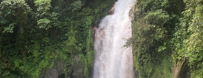 Parque Nacional Volcán Tenorio is one of Costa Rica.