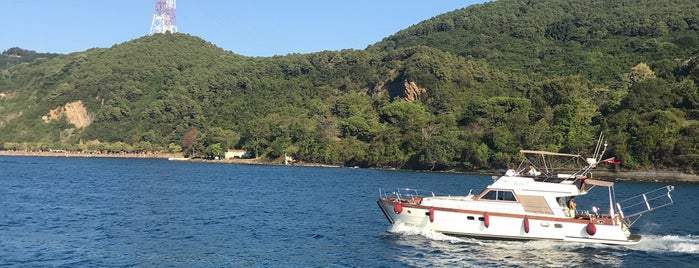 Anadolu Kavağı askeri plaj is one of Tempat yang Disukai Neriman.