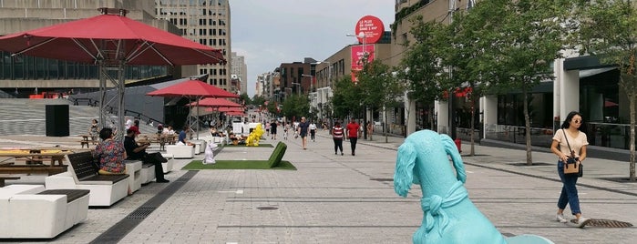 Rue Sainte-Catherine & Sanguinet is one of Montreal Places To Visit.