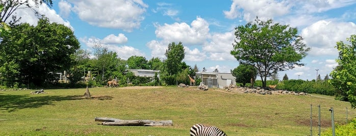 Zoo de Granby is one of Quebec to St Albans.