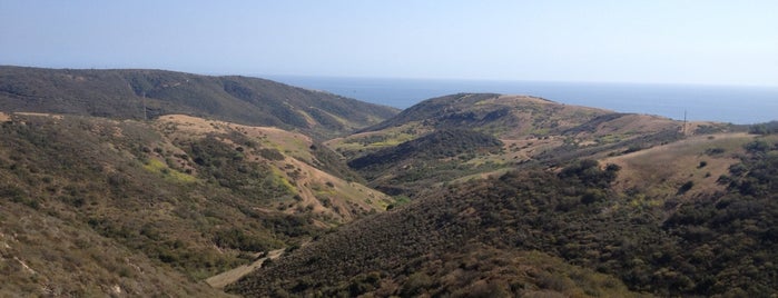 Laguna Coast Wilderness Park is one of CA.