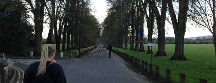 Pontcanna Fields is one of Around Cardiff.