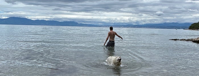Plaža za pse is one of Les plages.