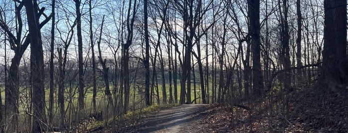 Hills & Dales MetroPark is one of Hiking Haunts.