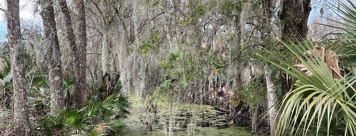 Colt Creek State Park is one of Lakeland/Winter Haven.