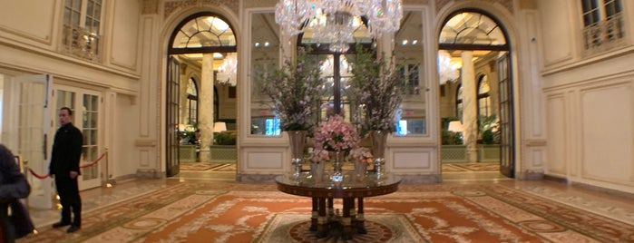 The Plaza Hotel is one of Caroline'nin Beğendiği Mekanlar.