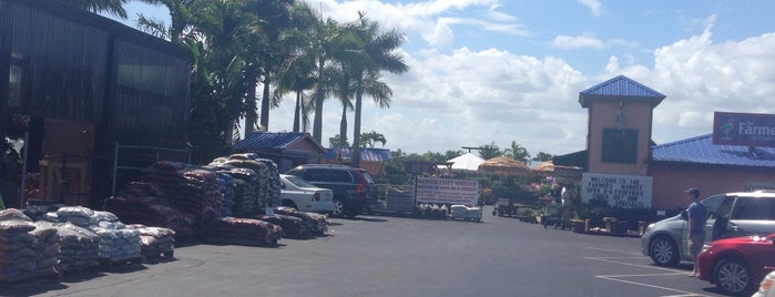 The Farmers Market is one of Local food farms.